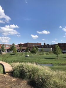 Photograph of lawn at King Common in downtown Johnson City