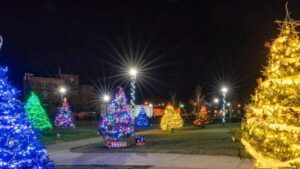 Photograph of lit up Christmas trees in downtown Johnson City, TN Park